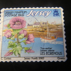 Jersey 2003: rantakasveja - pikkukuva 3