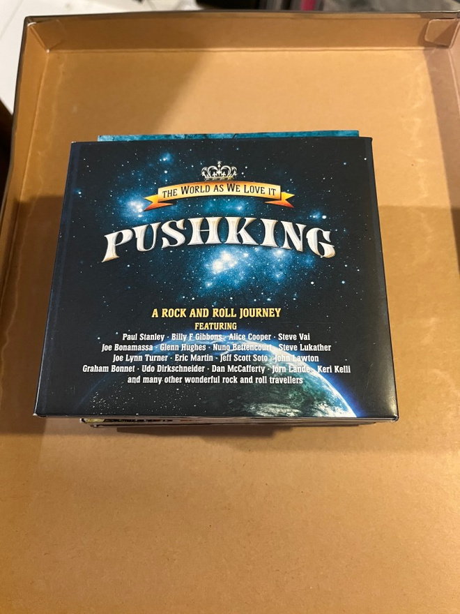 Pushking - The world as we love it cd