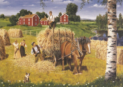 Jan Bergerlind: Heinää kootaan