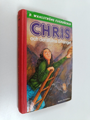 Marilyn Ezzell : Chris och det stulna örhänget