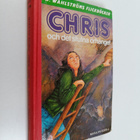 Marilyn Ezzell : Chris och det stulna örhänget - pikkukuva 1