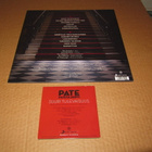 Pate Mustajärvi LP 2018 + PROMO CDRS  Suuri Tulevaisuus MINT - pikkukuva 2