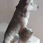 SULOINEN HUSKY ? EMÄ JA 2  POIKASTA - pikkukuva 4