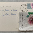 Leila Myllymäki - pikkukuva 2