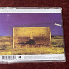 P.J. HARVEY - IS THIS DESIRE ?- CD - pikkukuva 2