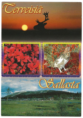 Terveisiä Sallasta (2001)