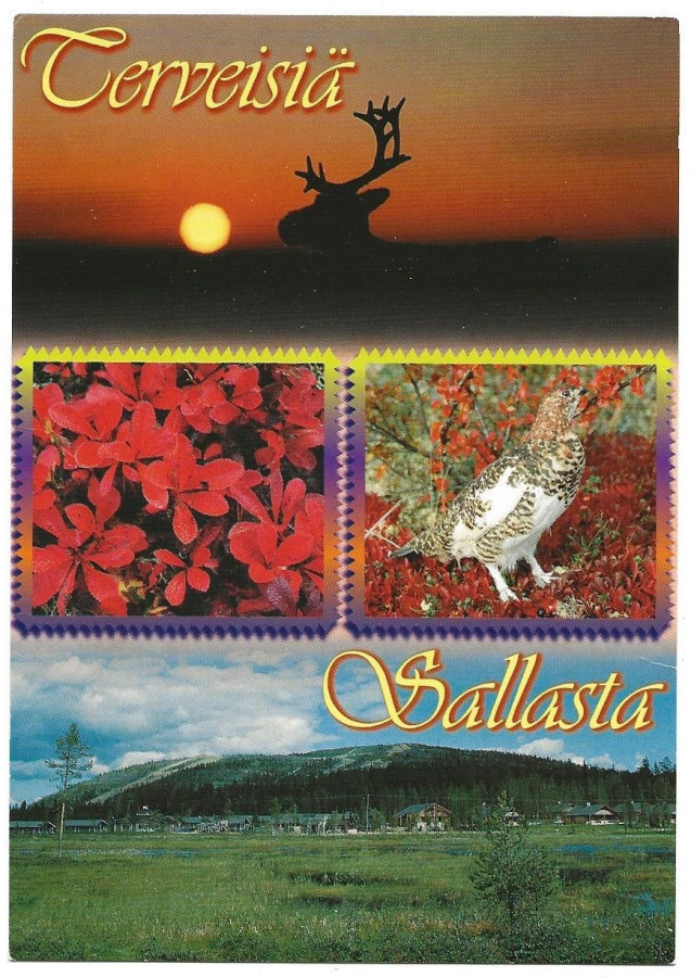 Terveisiä Sallasta (2001)
