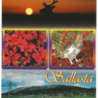 Terveisiä Sallasta (2001) - pikkukuva 1