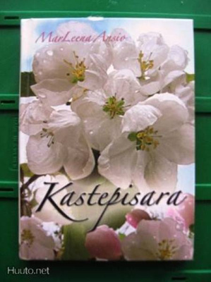 Kastepisara