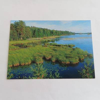 Rantamaisema (Siilin Taide)