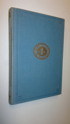 Agnes Sapper : Soittajapoika