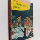 Heikki Jylhä : Delawaren pojat : Intiaanikertomus - pikkukuva 1