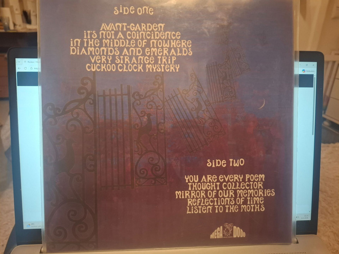 Octopus Syng – Reverberating Garden Number 7 Vinyyli