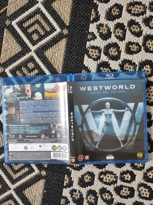 West World season one the Maze