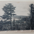 Lepovaara, näköala Lepovaarasta, mv pk, p. 1908 - pikkukuva 1