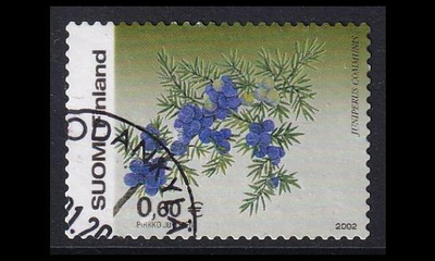 1620 o Kataja Sodankylä (2002)