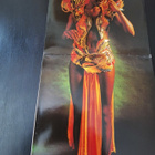 AMI STEWART - PARADISE BIRD . LP - pikkukuva 3