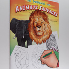 Thierry Beaudenon : Je dessine des animaux sauvages - pikkukuva 1