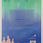 Raili Mikkanen ym. : Into-tonttu pelastaa joulun - pikkukuva 2