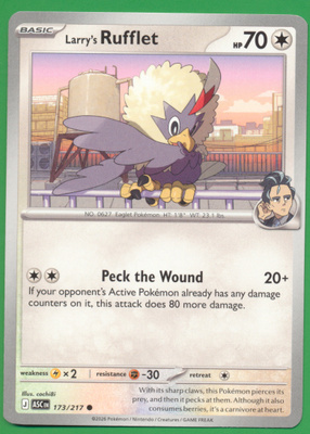 Pokémon Larry's Rufflet (ASC 173)
