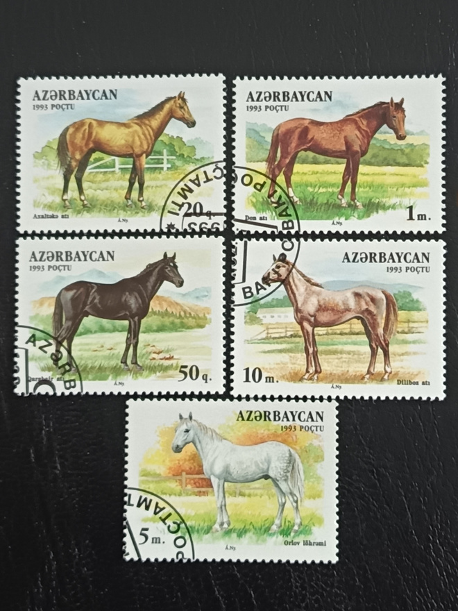 Azerbaidzhan Hevosia