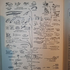 Storer - Usinger: General Zoology -kirja - pikkukuva 3
