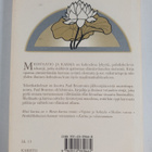 Paul Brunton : Meditaatio ja karma - pikkukuva 2