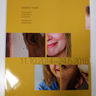 Veikko Halmetoja : Synti 11.10.2014-24.5.2015 : Serlachiu... - pikkukuva 2