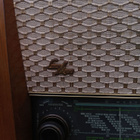 Luxor radio Attache 3302W Putkiradio - pikkukuva 5