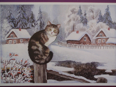 Kissa istuu tolpan päässä lumisateessa