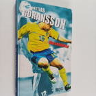 Mattias Göransson : Matchhjältar - pikkukuva 1