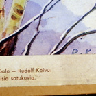 Koulutaulu Aukusti Salo-Rudolf Koivu 48cm *35 cm - pikkukuva 2