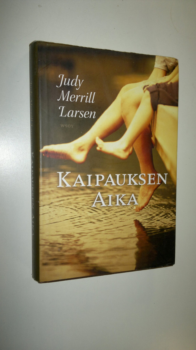 Judy Merrill Larsen : Kaipauksen aika
