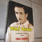 Walt Disney - Amerikkalaisuuden ikoni - pikkukuva 1