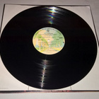 T.G.SHEPPARD T.G LP - pikkukuva 4