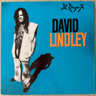 [LP] DAVID LINDLEY: EL RAYO-X - pikkukuva 1