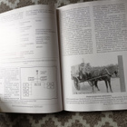 Helsingin Ikämiessuojeluskunta 1919-1944 - pikkukuva 4