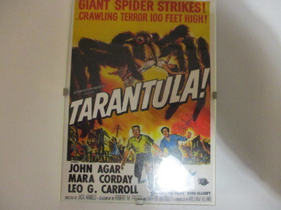 TARANTULA!