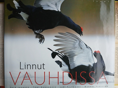 Markus Varesvuo (ym.) - Linnut vauhdissa (sid.)