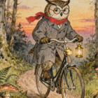 Pöllö pyöräilee illansuussa - pikkukuva 1