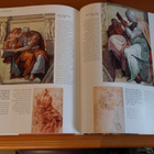 Rosalind Ormiston:The Life And Works Of Michelangelo.Hieno! - pikkukuva 3
