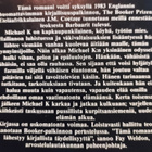 Afrikka-paketti, Coetzee, Nkosi, Hemingway, 4 romaania - pikkukuva 3