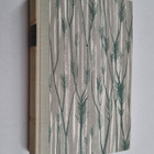 Sigrid Undset : Olavin lapset - pikkukuva 1
