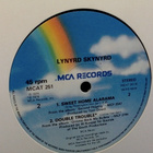 LYNYRD SKYNYRD :: FREE BIRD/SWEET HOME ALABAMA : MAXI 1976 ! - pikkukuva 2