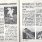 Lintumies n:o 6 1985 Katso kuvat. - pikkukuva 5