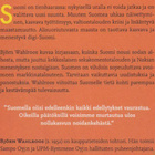 Björn Wahlroos: Kuinkas tässä näin kävi? - pikkukuva 3