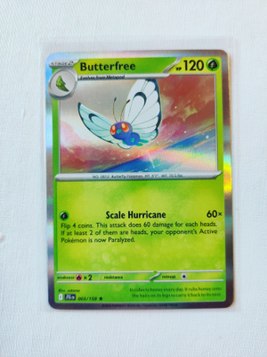 Butterfree Holo Rare