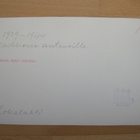 VANHA Valokuva Sankarihaudat Lokalahti Uusikaupunki 1940-l - pikkukuva 2