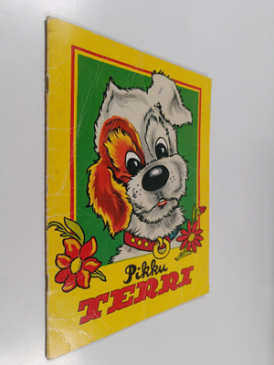 Pikku Terri