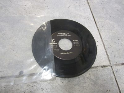 Havana Blacks – Hoo Myself / shoot you down